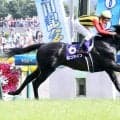 【安田記念・西山が占う】東京マイルは実力馬が復活しやすい舞台　パンジャタワーやステレンボッシュが再び輝くか　