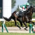 【安田記念】史上4組目の父仔制覇なるか 2頭のロードカナロア産駒が登録
