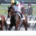 日本ダービー２着馬パントルナイーフが膝を骨折　キャロットクラブが発表