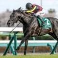 【安田記念展望】美浦の実力馬トロヴァトーレがマイル王戴冠を狙う