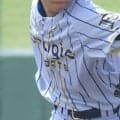 【一覧】沖縄公式戦上位成績チーム！2日の抽選会で実力上位7校の組み合わせに注目【26年夏高校野球】
