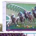 ＪＲＡがトラッキングシステムの対象レースを拡大へ　新馬戦、障害戦も対象に