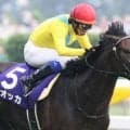安田記念着差ランキングTOP5 1位はダービー馬の復活劇