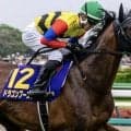 【安田記念】「充実の40歳」丹内祐次騎手がGI初制覇へ 伏兵ドラゴンブーストで一発狙う