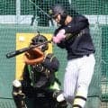 【阪神】高卒３年目、百崎蒼生が１軍合流　東海大熊本星翔から23年ドラ４入団　西武戦は雨天中止