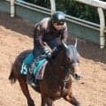 【今週デビュー予定・トク注新馬】「２歳戦マスター」須貝厩舎が送り出すロジクラウンが開幕Ｖへ調整万全　陣営「背中が柔らかくて...」