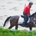 【Ｇ１トク捜リレー】栗東・松ケ下記者は安田記念で穴狙い？　前走▲の脚質自在の４歳馬を先物買いだ