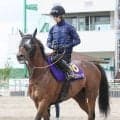 【安田記念】重賞５勝のレーベンスティール悲願のＧ１制覇へ　東京マイル替わりに陣営は前向き「大丈夫だと思います」