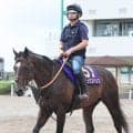 【安田記念・超ブル診断データ編】マイル王ジャンタルマンタル不在で上半期で最も難解なＧ１...不当に人気落とす馬が狙い目