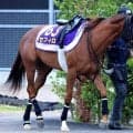 【注目馬動向】セフィロは態勢が整わず安田記念を回避　シリウスコルトが出走可能に