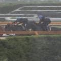 クロワデュノール、宝塚記念1週前追い切り速報/栗東トレセンニュース
