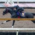 【宝塚記念・１週前】ジューンテイクがダービージョッキー松山弘平騎手と初コンタクト　「自分のペースで走らせた方が持ち味が生きる」