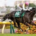 【安田記念予想】AIと人間の意見に温度差あり!? 人工知能が注目した伏兵とは