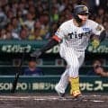 【阪神】嶋村麟士朗、また代打で存在感「自分のなかではまだまだ」代打成績は16打数６安打