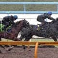 【宝塚記念・１週前】暴風雨にも負けず！クロワデュノール、春古馬３冠へ向けパワフルな走り