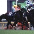 マイル8戦8勝 地方出身トロットサンダーの安田記念Vから20年
