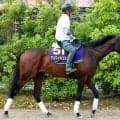 【注目馬動向】アスクイキゴミは安田記念を回避　米Ｇ１のＢＣマイルを目標　藤原調教師「チャンスがあれば行きたい」
