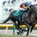 【安田記念出走馬・騎手確定】トロヴァトーレ＆C.ルメール騎手、ガイアフォース＆横山武史騎手など17頭
