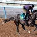 【ＰＯＧ】ダービー２着馬と同厩舎＆同馬主のフィリオソラーレがルメール騎手で開幕初日デビュー　陣営「走ることに真面目」