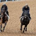 【宝塚記念・１週前】グイッと先着　コスモキュランダは気配上々　加藤士調教師「馬場が悪いなかでもいい時計」