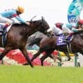 【ＰＯＧ】伯父にＧ１・２勝インディチャンプ　７日阪神初陣の良血レゾルーティオは動き良好　坂口調教師「勝負になると思います」