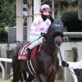 【注目馬動向】黒船賞で重賞２勝目のマテンロウコマンドはさきたま杯に登録　除外なら東海Ｓを目指す