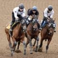 【宝塚記念・１週前】ミクニインスパイア充実一途　丹内祐次騎手「前走の時よりも感じはいい」