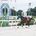 【六甲盃】ダンテバローズが重賞初制覇　秋はＪＢＣクラシック大目標　新子調教師「長距離でのダートグレードを制覇を」