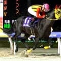 川島正一厩舎が１、２着を独占　ブルーメンガルテンが若潮スプリント制覇