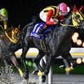 【船橋・若潮スプリント結果】ブルーメンガルテンが差し切って重賞初制覇を飾る