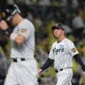阪神　藤川監督　右翼・佐藤輝の適時失策に「全く問題ない。チャージをかけさせているのはこちら」西武・平良には「力強いし、攻略が難しい投手」