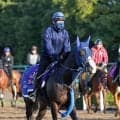 【注目馬動向】マスカレードボールが昨年から選択肢にあったキングジョージに参戦　手塚久師「１回使って体調はアップ」
