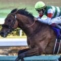 エフフォーリア初年度産駒 クロワデュノールの甥ジョドレルバンクがデビュー勝ち狙う