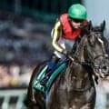 【安田記念枠順確定】トロヴァトーレは8枠17番、ガイアフォースは7枠14番