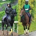 【安田記念・金曜気配】セイウンハーデス、パンジャタワー２頭出しの橋口勢はともに外枠　橋口調教師「良かったと思います」