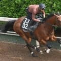 【東京ダービー】ユニコーンＳからの連勝狙うシルバーレシオが坂路で力強い伸び　野中調教師は上積みを確信