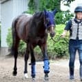 【安田記念・金曜気配】武豊騎手と復活目指すシックスペンスは２枠４番　田中博調教師「ハナを含めて…」と先行意識