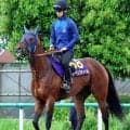 【安田記念・金曜気配】レーベンスティールは平成以降、勝ち馬不在の最内枠　田中博調教師は「いい枠」と前向き