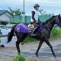 【安田記念・金曜気配】トロヴァトーレの大外１７番を鹿戸調教師は歓迎「ここ最近は８枠が…」ピンク帽３週連続Ｖへ