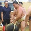 大関・霧島　綱取りの名古屋場所へ“マッチョ化”進行中「部屋のみんなでやるのが好き」