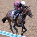 【安田記念・金曜気配】内枠希望もかなわず　シリウスコルトは６枠１２番　田中勝調教師「内に越したことはなかったけど…」