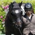 半姉ランフォーヴァウ ウインビギニングは5戦連続2着に終止符なるか