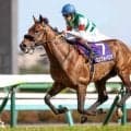 今年の新種牡馬はエフフォーリアなど34頭 期待のファーストクロップを紹介
