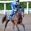 【あすの注目】「今回も起きてくれれば」　前走５馬身差圧勝で「お目覚め」のボクマダネムイヨが加古川特別で連勝狙う