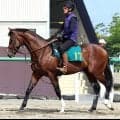 【あすの注目】新種牡馬産駒４頭が東京５Ｒで一気にデビュー　ホットロッドチャーリー産駒のウィンターブリーズは１・５億円馬