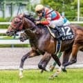 【函館SS想定馬・騎手】レイピア、ピューロマジックなど13頭