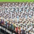 「監督が無能」選抜大会中の誹謗中傷　主催者調査、275件を削除