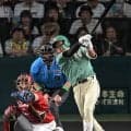 阪神　立石が１２打席ぶり安打で９試合ぶり打点　甲子園熱狂　ドラ１は塁上で安堵　試合前には藤川監督から話しかけられる場面も