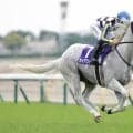 【安田記念】昨年2着ガイアフォースは7枠14番