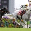 【安田記念】ガイアフォースは504kg…出走馬の調教後の馬体重